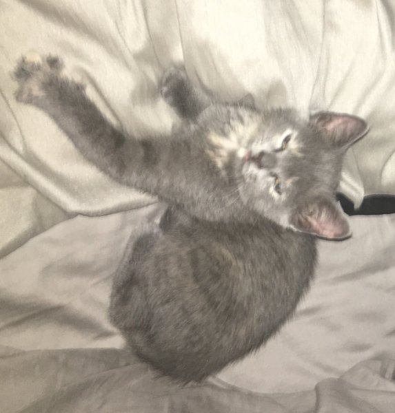 6 July 2018 Glasses- sleepy.JPG