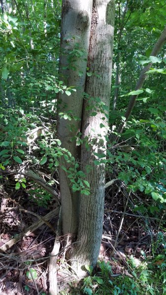 20180708_093856.jpg