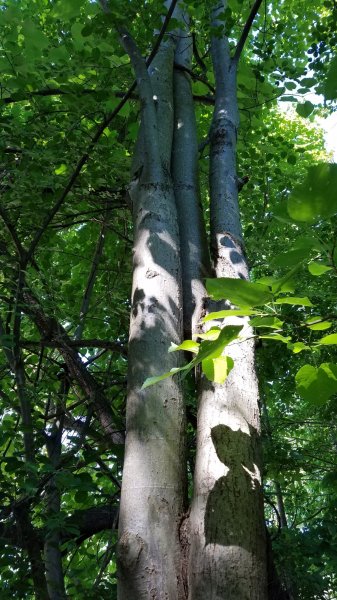 20180708_093909.jpg