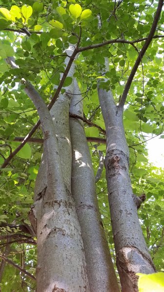 20180708_093938.jpg
