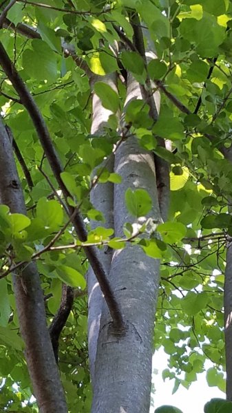 20180708_094046.jpg