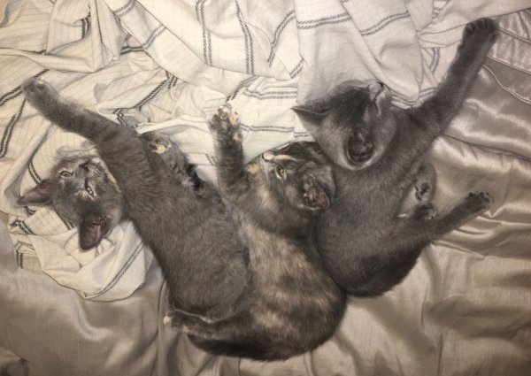 12 July 2018 kids napping.JPG