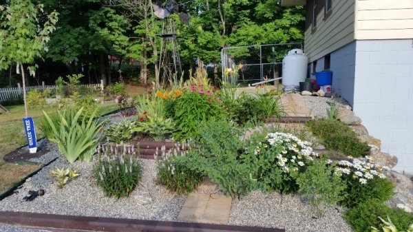 Driveway garden-from taller.jpg