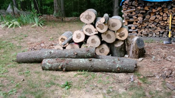 20180714_170037.jpg