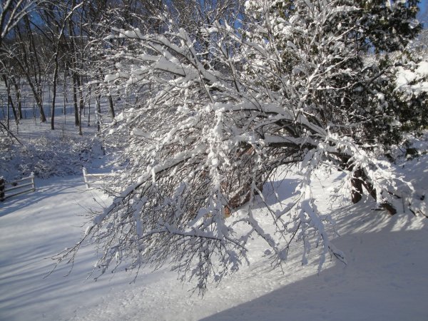 DSC02809-1.jpg