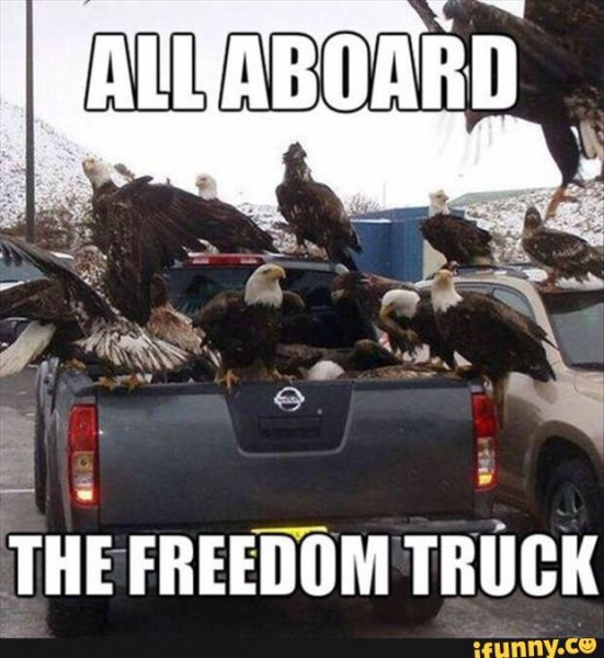 All-Aboard-The-Freedom-Truck-Funny-Meme-Image.jpg