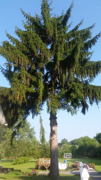 20180714_080942.jpg