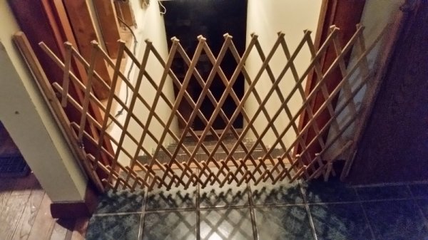 Kitten control at stairs.jpg