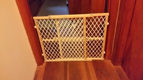 Kitten control at bedroom.jpg