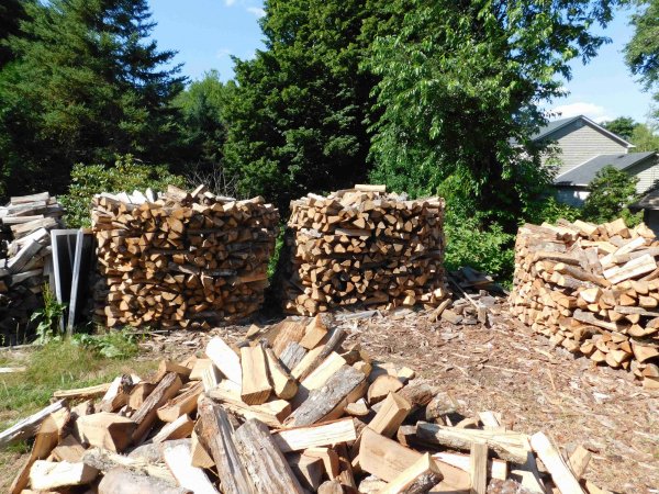 22 July 2018 This years firewood 1.JPG