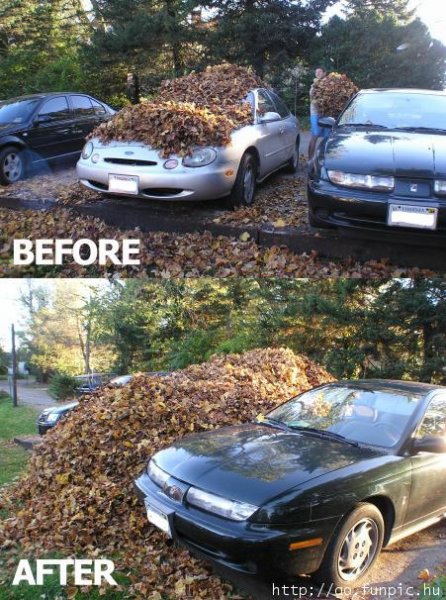 leaf-my-car-alone.jpg