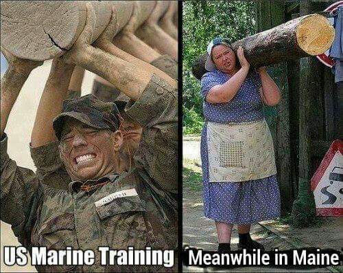 Marine training.jpg