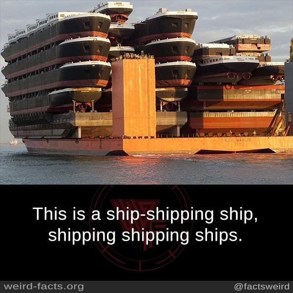 ShippingShip.jpg