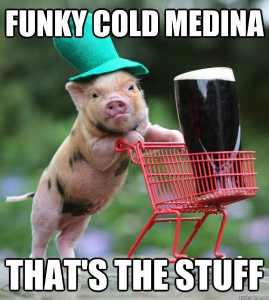 Funky-Cold-Medina-Thats-The-Stuff-Funny-Pig-Meme-Image.jpg