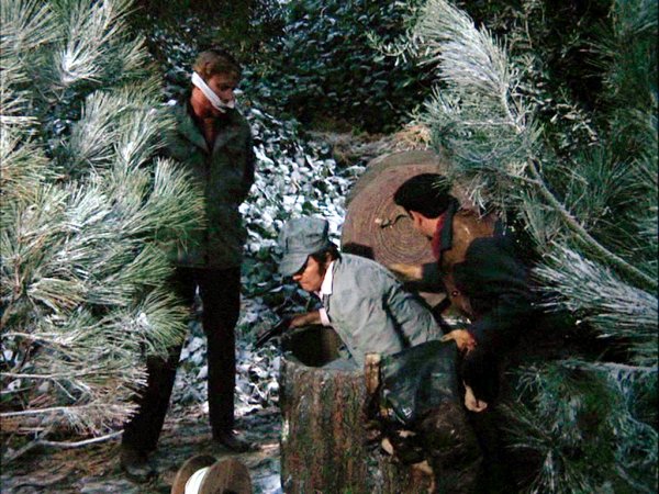 40acres_hogans_heroes_tree_stump_1.jpg