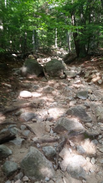 20180821_090337.jpg