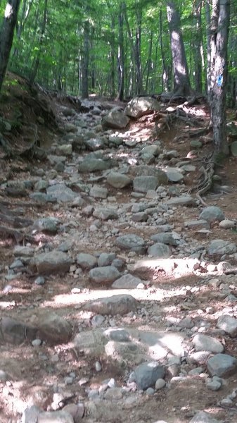 20180821_092131.jpg