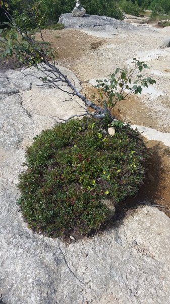 20180821_104359.jpg