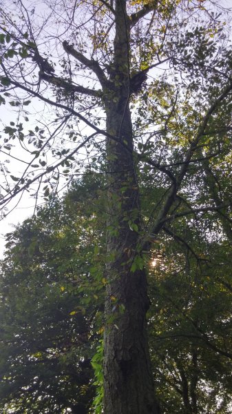 0828180921_HDR.jpg