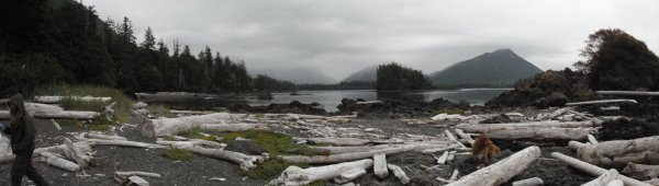 40626174_1838210026254977_7079033619175440384_o (1).jpg