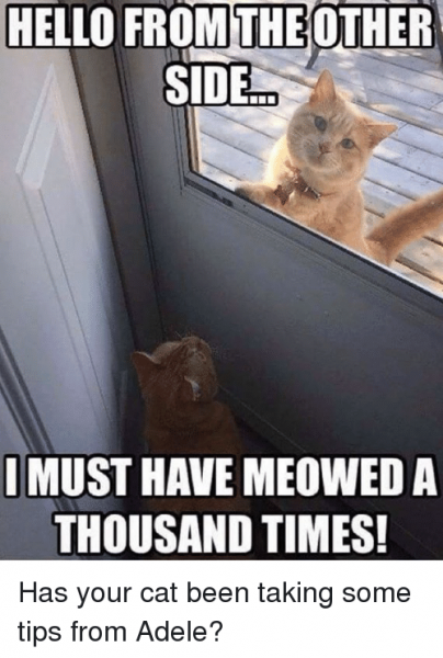 hello-from-the-other-side-must-have-meowed-a-thousand-16246712.png