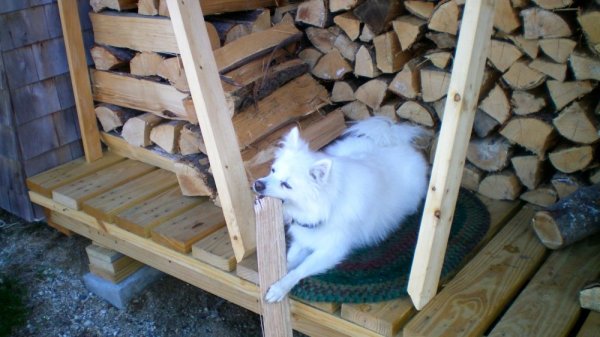 100_0004.JPG
