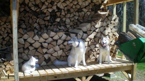 100_0023.JPG