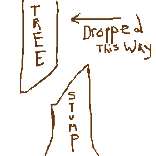 Image2.jpg