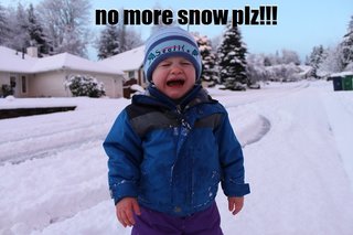 nomoresnowplz.jpg