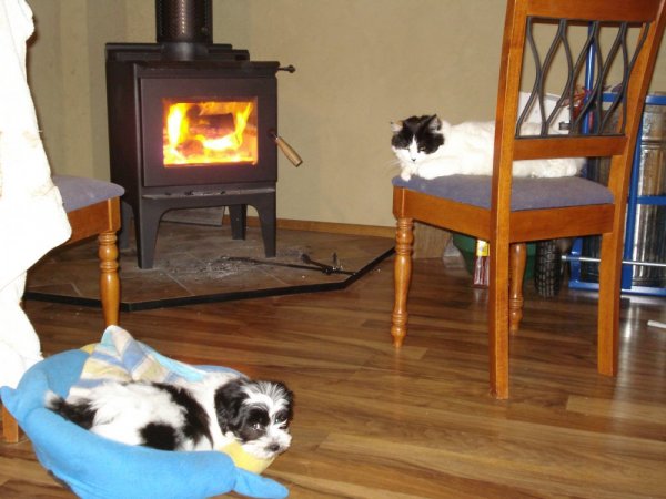 fireplace.JPG