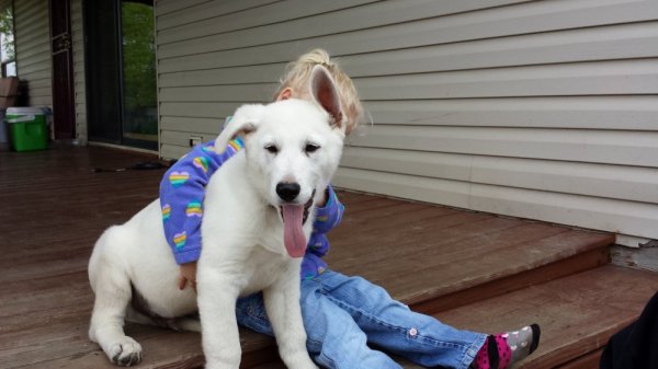 20140520_105238.jpg