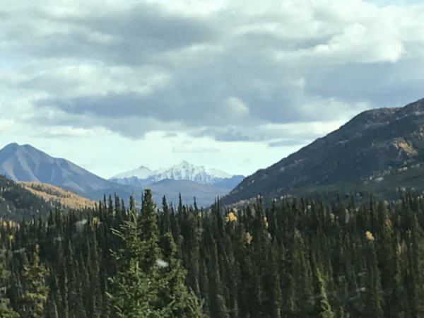4E637360-2E3E-4D1B-9B08-F11BF1861214.jpeg