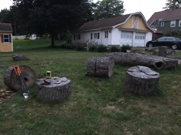 IMG_6321.jpg