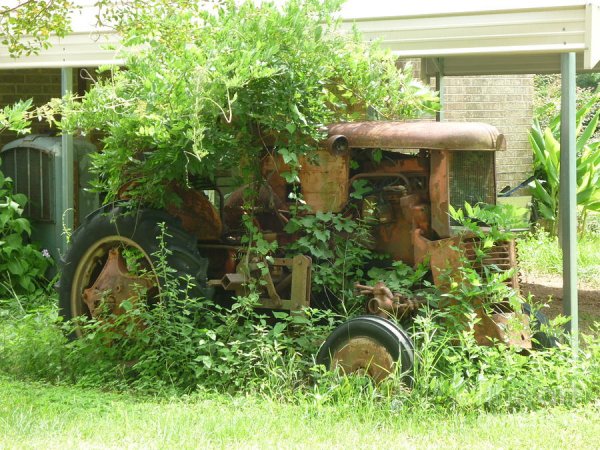 old-tractor-overgrown-with-greenery-on-a-farm-in-alabama-artie-wallace.jpg