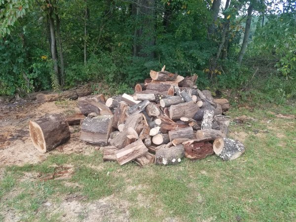 20180922_134254.jpg