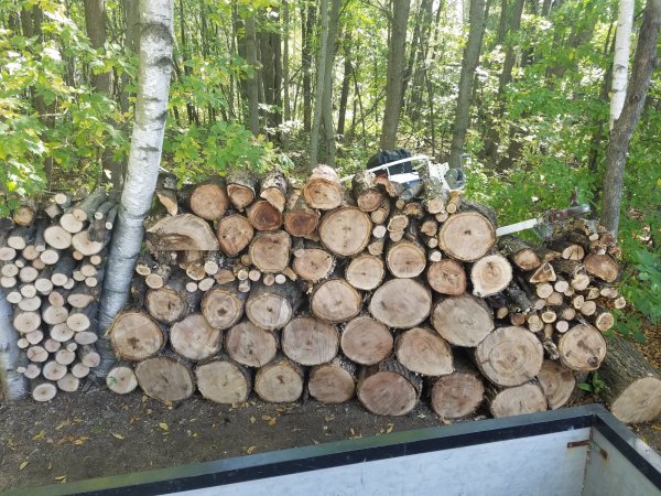 20180922_131732.jpg