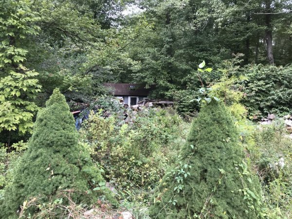 upload_2018-9-23_13-1-5.jpeg