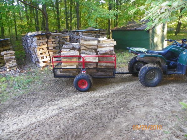 Hauling wood-1.JPG