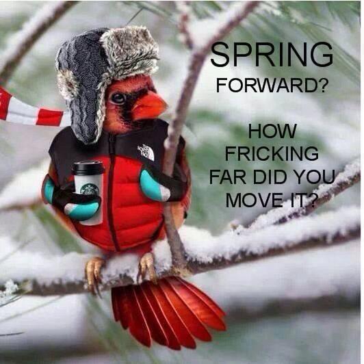 Spring forward.jpg