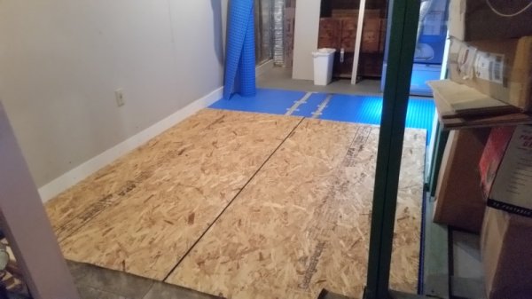 1st run of plywood for floor.jpg