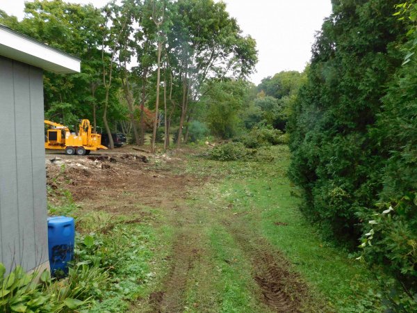 4 Oct 2018 at the end back.JPG