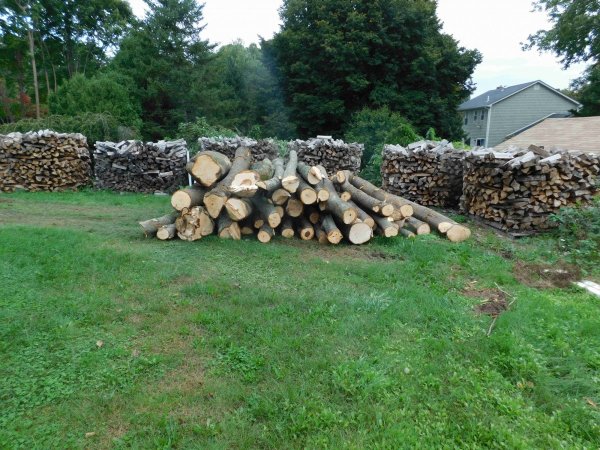 4 Oct 2018 firewood left.JPG