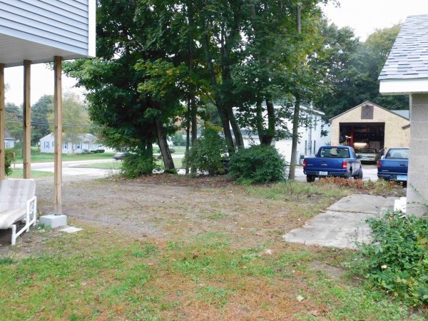 4 Oct 2018 Trees at the start side.JPG