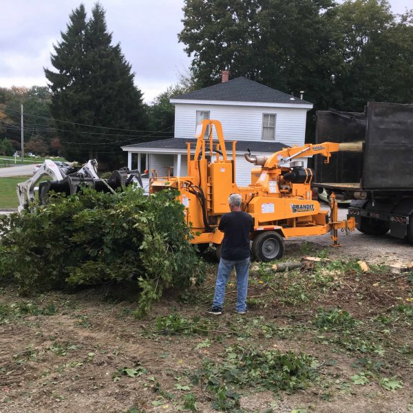 4 Oct 2018 Bobcat feeding chipper 1.JPG