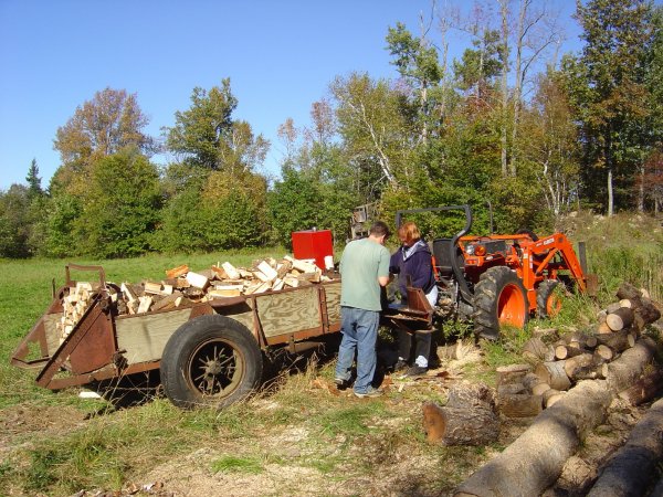 Splitting Wood Far.JPG