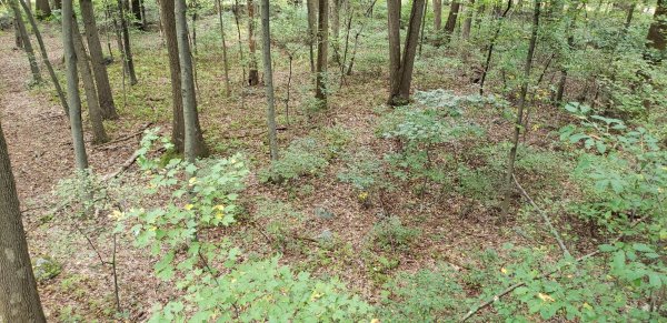 20181005_171734.jpg