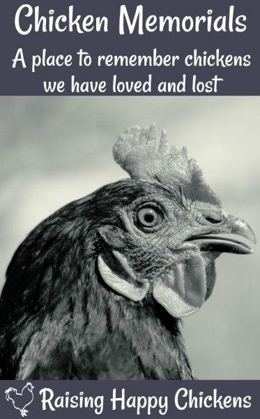 chicken-memorials-03.jpg