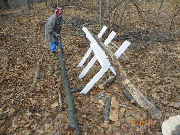 Judy-sawhorse 20015.JPG