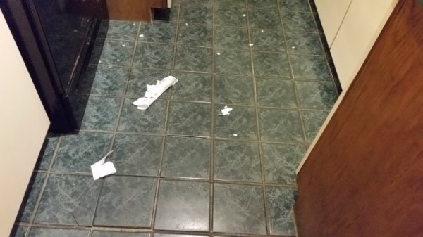 torn up paper towel.jpg