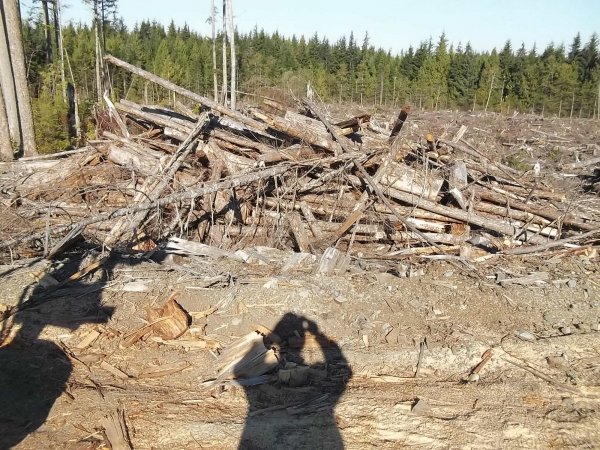 Oct 15, 2018 (2).JPG